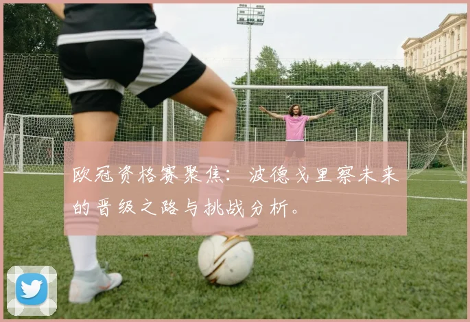 欧冠资格赛聚焦：波德戈里察未来的晋级之路与挑战分析。